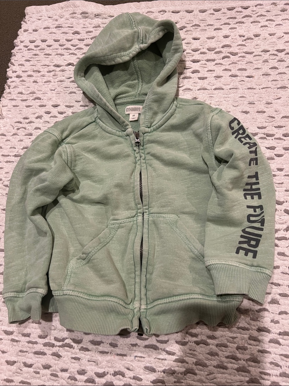 Gymboree Light Mint Green Zip-Up Hoodie with 'Create the Future' Sleeve Text